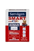 Sorvagen Smart Kids Sitikolin Dha Omega 3 Norveç Balık Yağı B12 60 Kapsül - 2