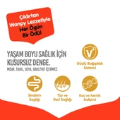 Wanpy Tahılsız Tavuklu Yetişkin Köpek Maması 1.5kg thumbnail 4