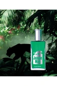 Jungle Man Eau De Parfum Hediye Kutulu Erkek Parfümü 100 ml - 3