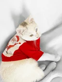 Noel Baba Ve Rudolph Kedi Tişörtü - 3