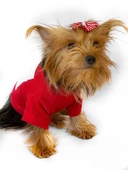 Cute Rudolph Köpek Tişörtü Noel - 3