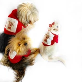 Cute Rudolph Köpek Tişörtü Noel - 7