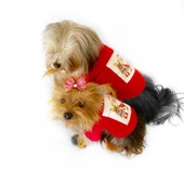 Noel Baba Ve Rudolph Köpek Tişörtü - 6