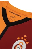 Galatasaray Orijinal 24/25 Parçalı 5 Yıldızlı Forma + Şal Kaşkol Set Aslan Baskılı Hediye Ahşap Kutu - 7