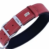 Doggie Konfor Deri Köpek Boyun Tasması Kırmızı 3,5x47 55 Cm thumbnail 2