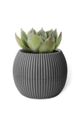 Omnipazar KRS-363 Plastik Mercan Kaktüs Saksı 0.7 Litre Antrasit 6 Adet thumbnail 4