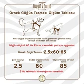 Cattie Havalı Dokuma Kedi Göğüs ve Gezdirme Tasması Medium Kırmızı 1x25-35 Cm - 3