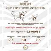 Cattie Havalı Dokuma Kedi Göğüs ve Gezdirme Tasması Large Kamuflaj 1,5x30-40 Cm - 3