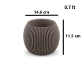 Omnipazar KRS-363 Plastik Mercan Kaktüs Saksı 0.7 Litre Kahverengi 6 Adet - 2