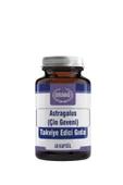 Ersağ Astragalus Çin Geveni - Yeni Tarihli Er-say Grup - 1