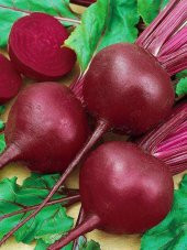 İthal Kırmızı Pancar Tohumu 100 Ad. Tohum - 1