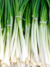 Yerli Yeşil Soğan Tohumu Zümrüt 100 Ad. Tohum - 1