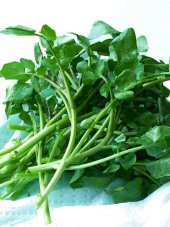 Doğal Yeşillik Geniş Tere 1000 Ad. Tohum - 1