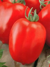 Doğal Sanayi Tipi Bursa Domatesi 100 Ad. Tohum - 1