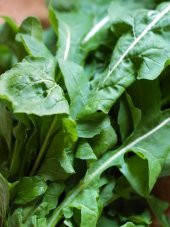 Doğal Yeşil Roka Tohumu 1000 Ad. Tohum - 1