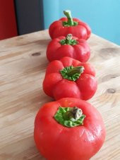 Doğal Meşhur Domates Tipli Biber Tohumu 100 Ad. Tohum - 1