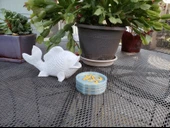 Byr Bardak altlıkları hakkında (Sadece Plastik Aparattır!!!) 3D - 4