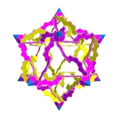 Byr Hart Star Dodecahedron 1 (Sadece Plastik Aparattır!!!) 3D thumbnail 1