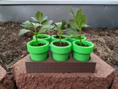 Byr Mario Tohum Başlangıç Tepsisi - Kendi kendine sulama (Sadece Plastik Aparattır!!!) 3D - 1