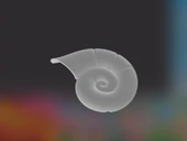 Byr Ursula Kolye Seashell - Disney Little Deniz Kızı (Sadece Plastik Aparattır!!!) 3D thumbnail 4