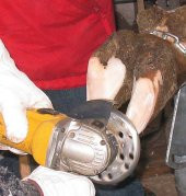 6 Bıçaklı Tırnak Kesme Diski thumbnail 1