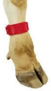Tokalı Ayak İşaretleme Bandı, Kırmızı thumbnail 1