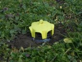 Kavanoz için Sinek Tuzağı (2ad/pkt) thumbnail 4