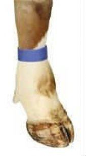 Cırtlı Büyükbaş Ayak İşaretleme Bandı Mavi (10 adet/paket) thumbnail 1