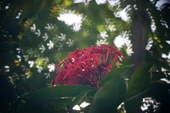 Byr SLR lens için bokeh maskesi (Sadece Plastik Aparattır!!!) 3D - 3
