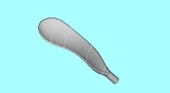 Byr Uzun süreli ayakkabı boynuzu (Sadece Plastik Aparattır!!!) 3D - 4