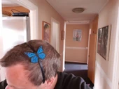 Byr Monarch kelebek saç bandı ve kitap işareti (Sadece Plastik Aparattır!!!) 3D - 3