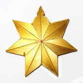 Byr 7 noktalı yıldız kolye (Sadece Plastik Aparattır!!!) 3D thumbnail 1