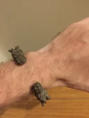 Byr Viking Dragon Bilezik (Sadece Plastik Aparattır!!!) 3D thumbnail 3