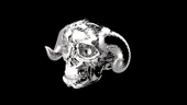 Byr [2017 Paultini]: Yüzük: Remix; Kafatası: 666: Diabolos (Sadece Plastik Aparattır!!!) 3D - 4