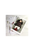 Polo Kart Fotoğraf Baskı 50 Adet 5 X 7 Cm Mini Fotoğraf Baskisi 533 143 52 32 - 1