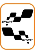 İndispensableyl Sport Damalı Sağ-Sol Takım 2 Adet Oto özel yeni sticker Siyah 30*16 Cm - 2