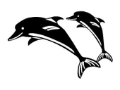 İndispensableyl Yunus Balığı Ailesi Sticker 20 X 12 Cm thumbnail 1