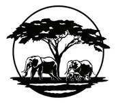 İndispensableyl Fil Ailesi Safari Duvar Dekor Sticker 60 X 60 Cm - 1