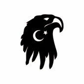 İndispensableyl Ayyıldız Ve Kartal Oto Kaput Sticker 40 X 40 Cm thumbnail 2