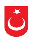 İndispensableyl Türk Bayrağı 3 Duvar Dekor Sticker Kırmızı 40 X 80 Cm thumbnail 1