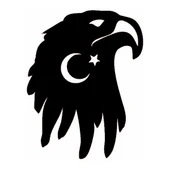 İndispensableyl Ayyıldızlı Kartal Oto Arka Cam Sticker 15 X 15 Cm thumbnail 1