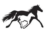 İndispensableyl At Ve Yavrusu Tip 2 Sticker 20 X 12 Cm thumbnail 1