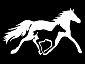 İndispensableyl At Ve Yavrusu Tip 2 Sticker 20 X 12 Cm thumbnail 3