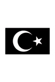 İndispensableyl Türk Bayrağı Sticker 30 X 18 Cm thumbnail 1