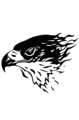 İndispensableyl Kartal Araç Ön Kaput Sticker 60 X 42 Cm - 2
