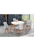 florit mobilya masamıza buyurun Antik Sabit Karegold Yemek Ve Mutfak Masası Takımı 4 Sandalyeli - Gri thumbnail 1