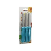 6PCS  MEYVE  BIÇAK  RENKLİ PLASTİK SAPLI (5047) - 1