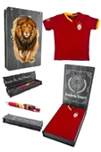 Galatasaray Orijinal 5 Yıldızlı Kırmızı Basic Çocuk T-shirt + Uçlu Kalem Set Hediyelik Ahşap Kutulu thumbnail 1