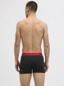 Jack Jones Cnyjah Banboo 3 Lü Paket Erkek Boxer 12281998 - 2