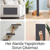 Beylini Kedi Tırmalama Halısı Yapışkanlı Her Yüzeye Uygulanabilir Kesilebilir Mobilya Koruyucu Mat Antrasit (40X50) - 4